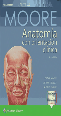 Moore Anatomía con orientación clínica