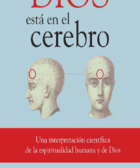 Dios esta en el cerebro